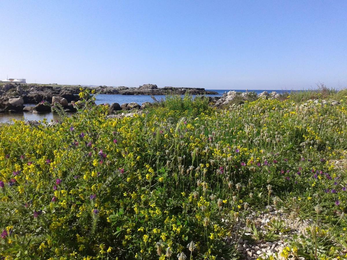 La Porta Di Mare B&B Nardò Εξωτερικό φωτογραφία